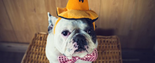 9 Fun Halloween Costumes For the Office Party